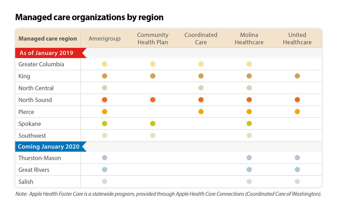 Medicaid Chip Pharmacy Mco Assistance Chart